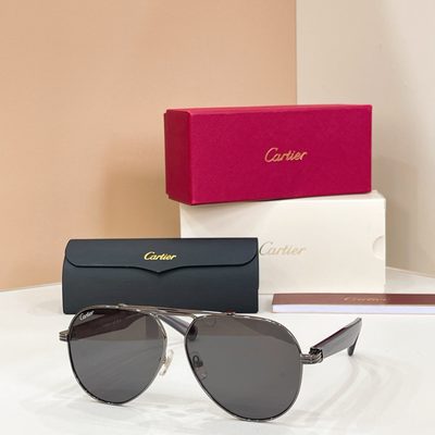 Cartier Sunglasses — 5