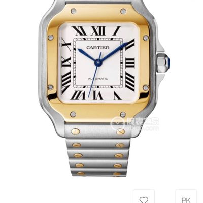 Cartier Watch