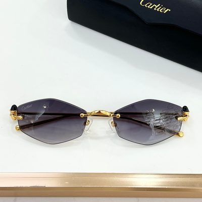 Cartier Sunglasses — 5