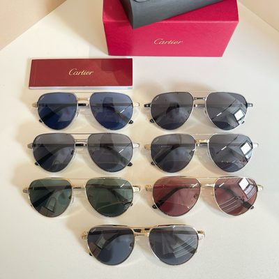 Cartier Sunglasses — 9