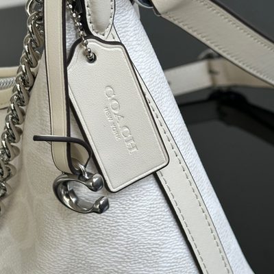Coach Bag — 5