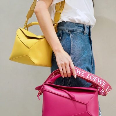 Loewe Bag — 6