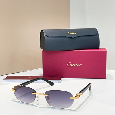 Cartier Sunglasses — 5