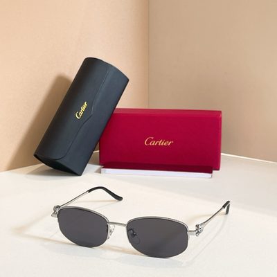 Cartier Sunglasses — 6