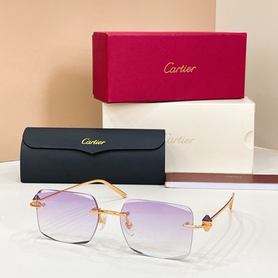 Cartier Sunglasses — 7