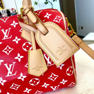 Louis Vuitton Bag — 6
