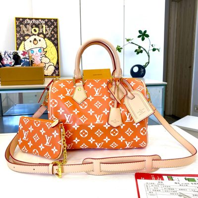 Louis Vuitton Bag