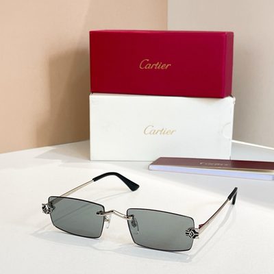Cartier Sunglasses — 5