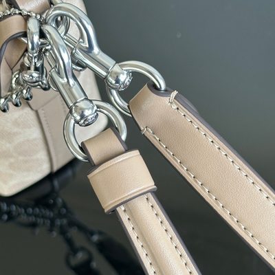Coach Bag — 6