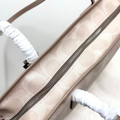 Coach Bag — 4