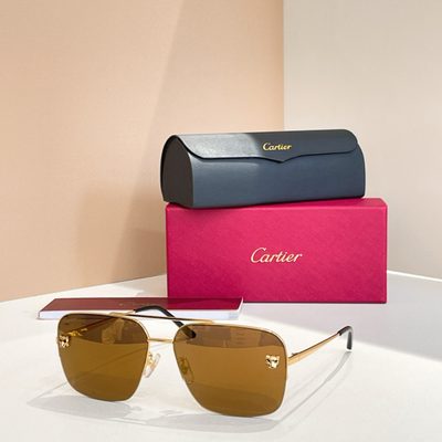 Cartier Sunglasses — 4