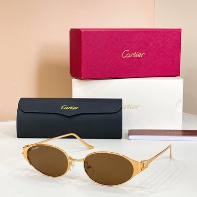 Cartier Sunglasses — 3