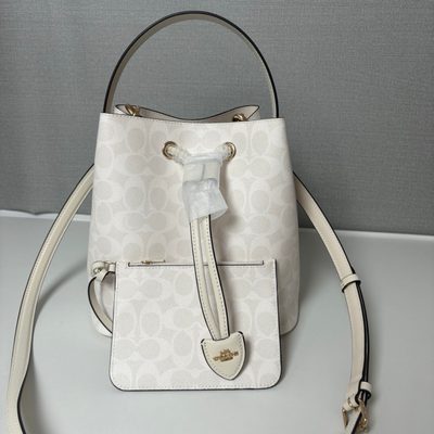 Coach Bag — 3