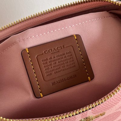 Coach Bag — 8
