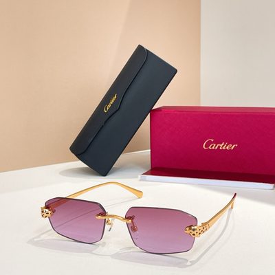 Cartier Sunglasses — 6