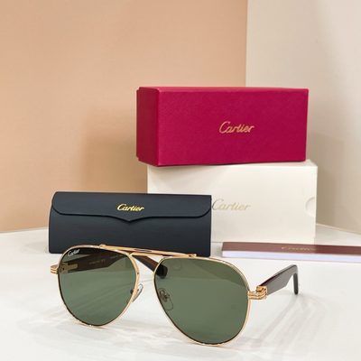Cartier Sunglasses — 3