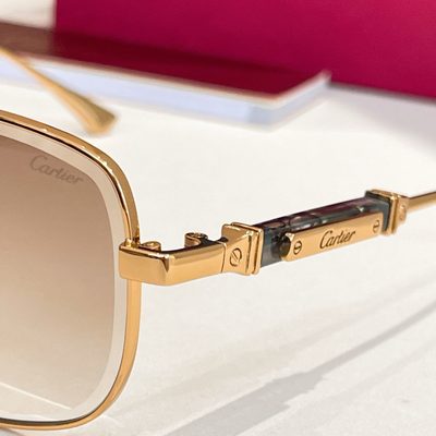 Cartier Sunglasses — 6