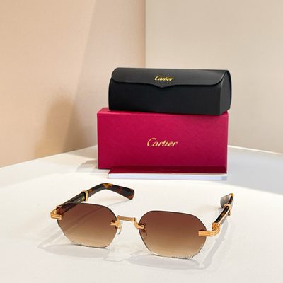 Cartier Sunglasses — 6