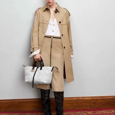 Dior Bag — 3