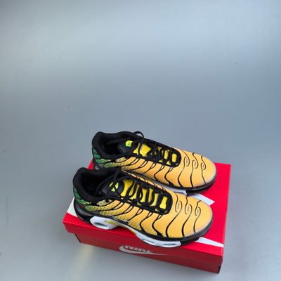 Nike Air Max Plus trainers — 9