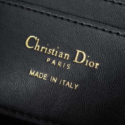 Dior Bag — 9