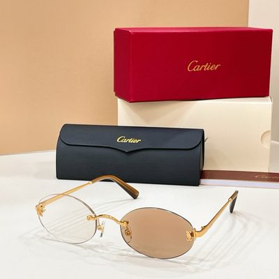 Cartier Sunglasses — 5
