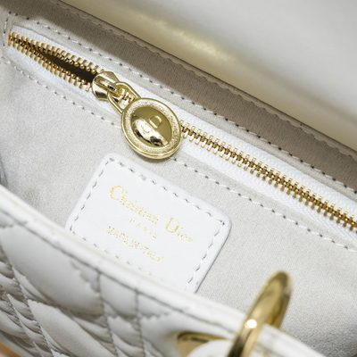 Dior Bag — 9