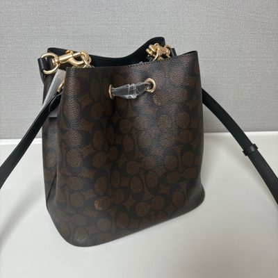 Coach Bag — 4