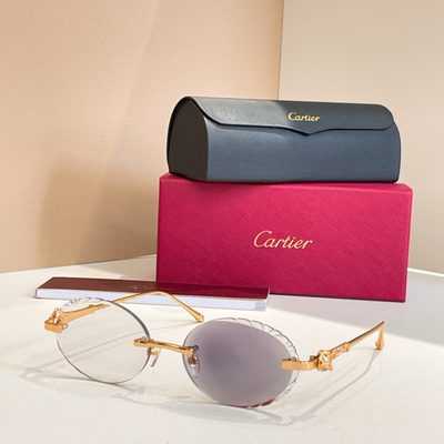 Cartier Sunglasses — 8