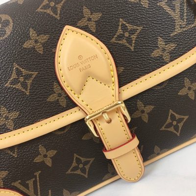 Louis Vuitton Bag — 8