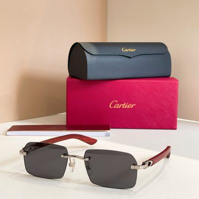 Cartier Sunglasses — 8