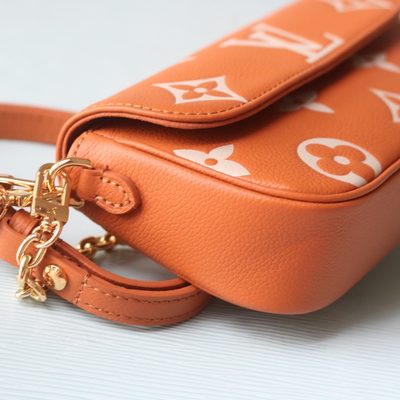 Louis Vuitton Bag — 7