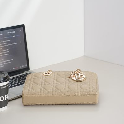 Dior Bag — 6