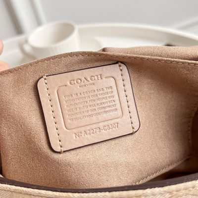 Coach Bag — 9