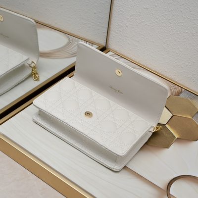 Dior Bag — 7