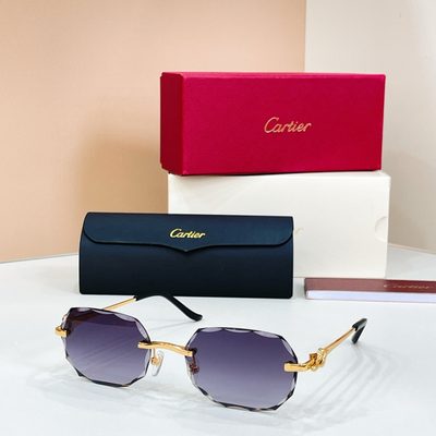 Cartier Sunglasses — 7
