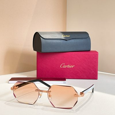 Cartier Sunglasses — 8