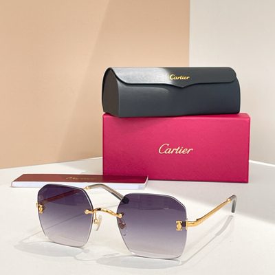 Cartier Sunglasses — 7