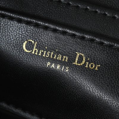Dior Bag — 9