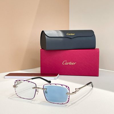 Cartier Sunglasses — 8
