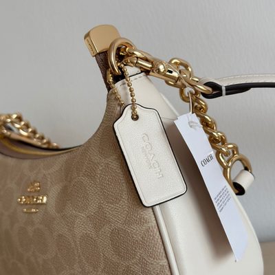 Coach Bag — 6