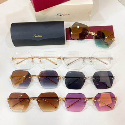 Cartier Sunglasses — 8