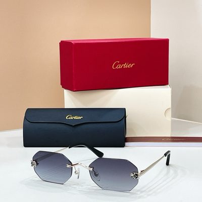 Cartier Sunglasses — 7