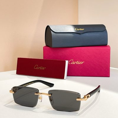 Cartier Sunglasses — 7