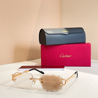 Cartier Sunglasses — 5