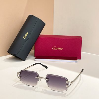 Cartier Sunglasses — 4