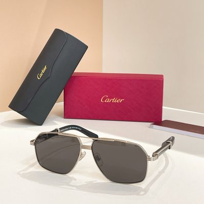 Cartier Sunglasses — 6