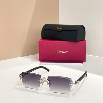 Cartier Sunglasses — 6