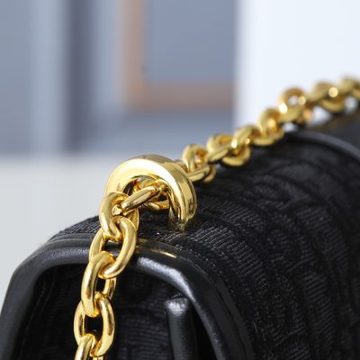 Dior Bag — 7