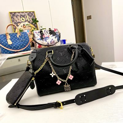 Louis Vuitton Bag — 5